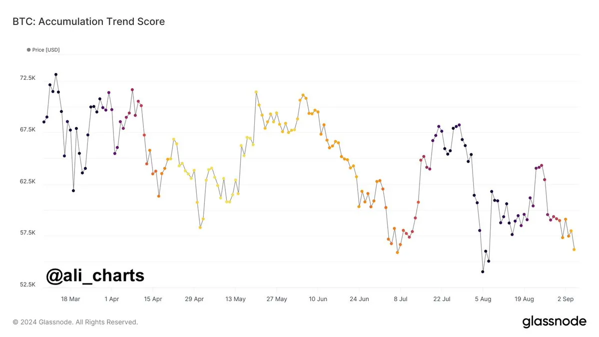 Bitcoin Accumulation Trend Score. Nguồn: Glassnode/ali_charts.