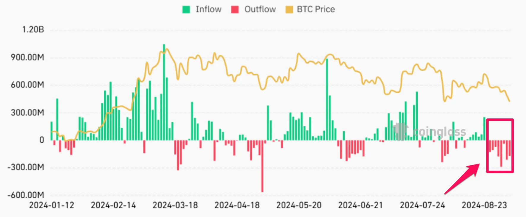 Netflow của các Bitcoin ETF giao ngay. Nguồn: Coinglass.