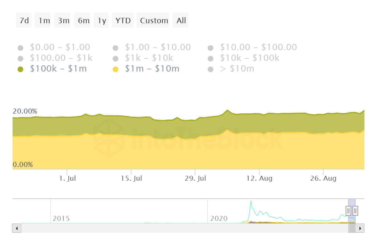 Dogecoin Whale Holdings. Nguồn: IntoTheBlock