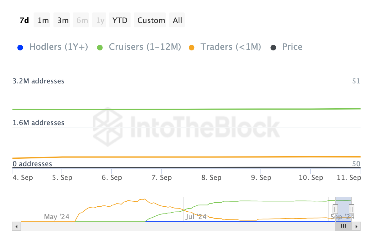 Notcoin Addresses by Time Held. Nguồn: IntoTheBlock