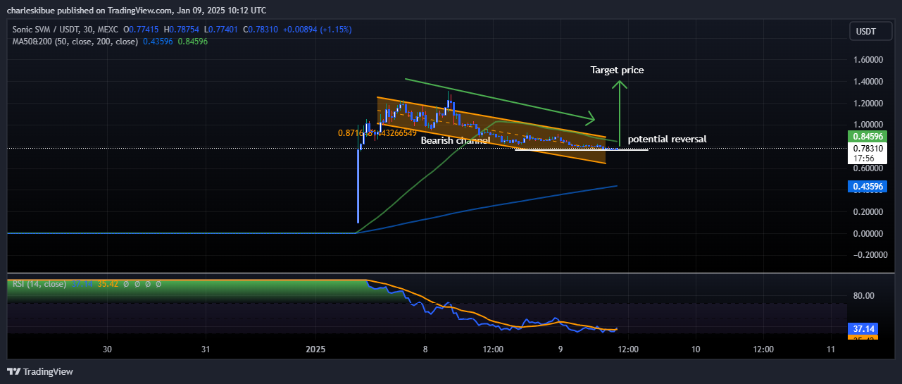 SONIC Price Analysis. Source: TradingView