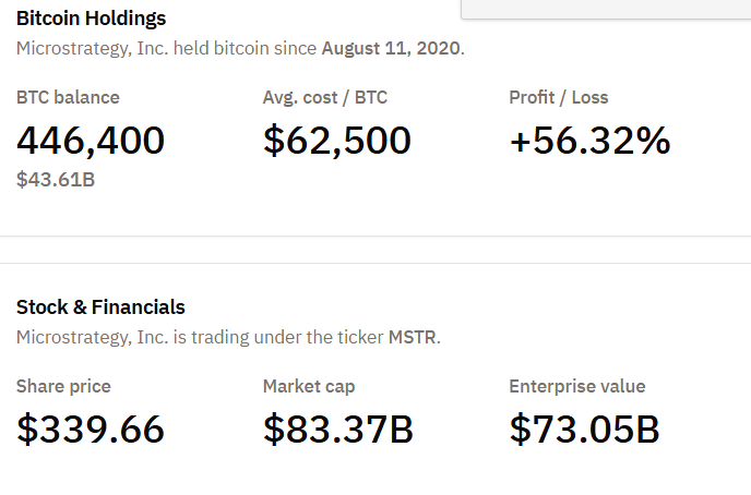 MicroStrategy Bitcoin Holdings. Nguồn: Bitcoin Treasuries