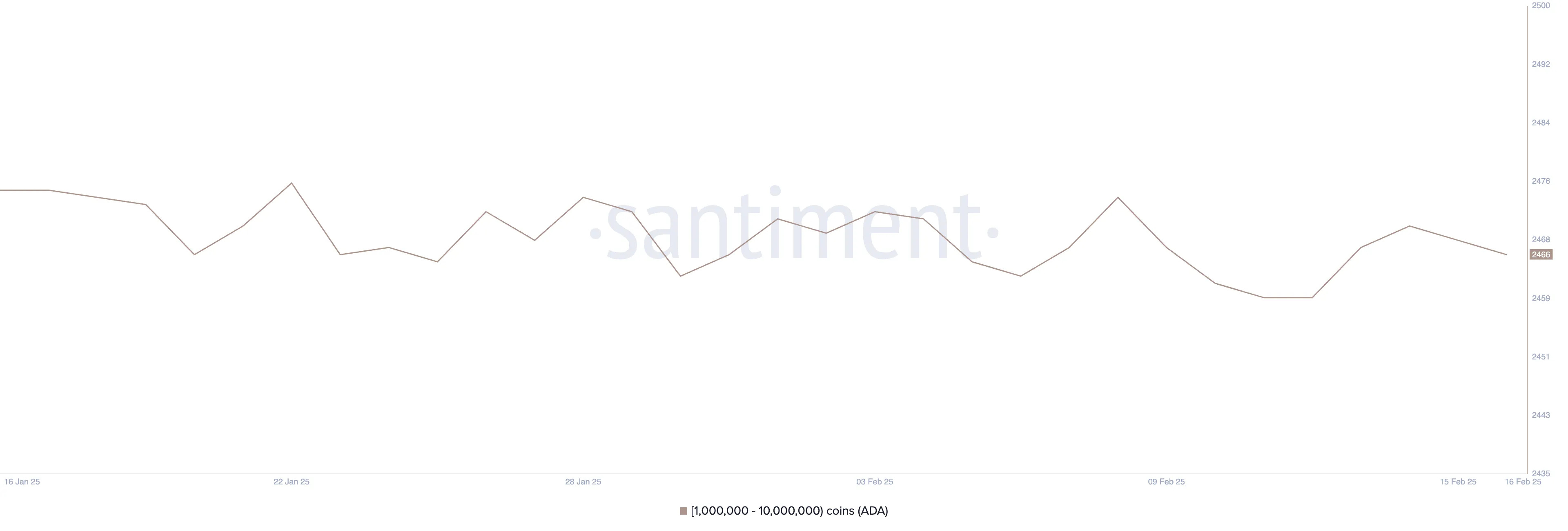 Addresses Holding Between 1 Million and 10 Million ADA.