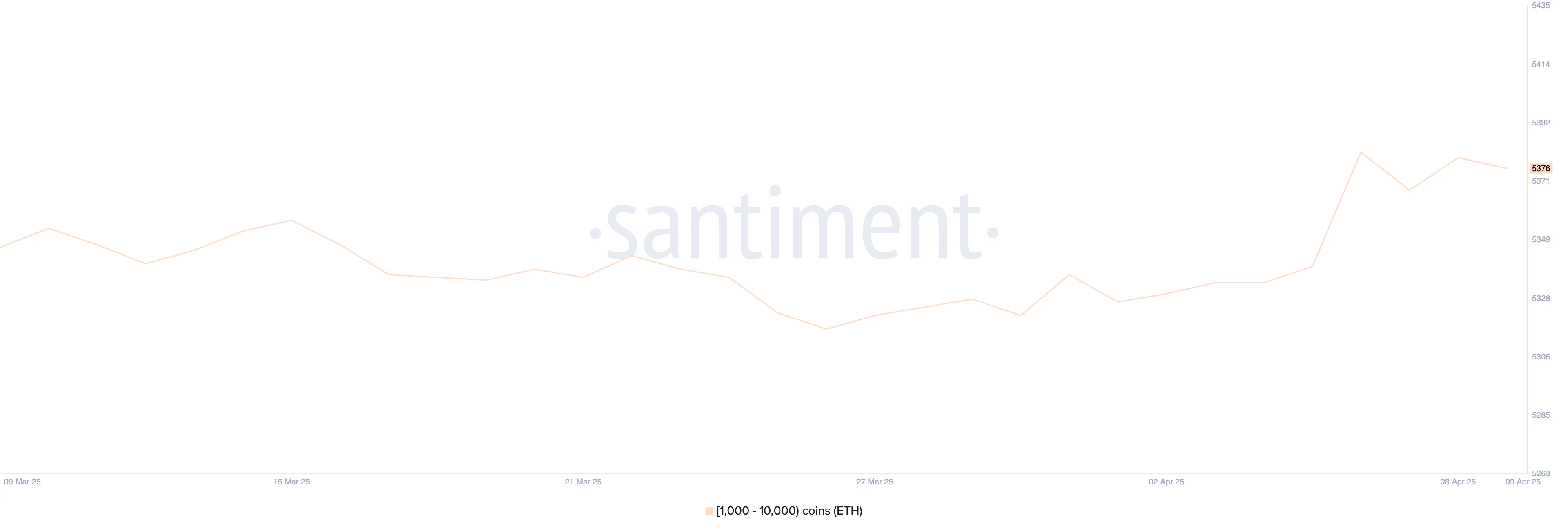 Ethereum Whales.