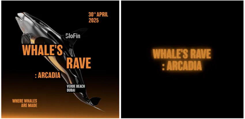 BloFin tổ chức sự kiện Whale’s Rave