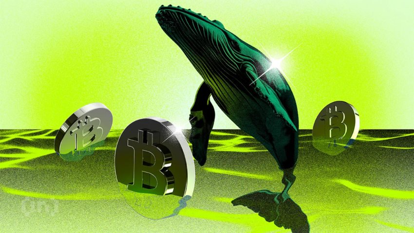 Cá voi Bitcoin mới hiện nắm giữ phần lớn vốn BTC | Theo dõi cá voi hàng tuần