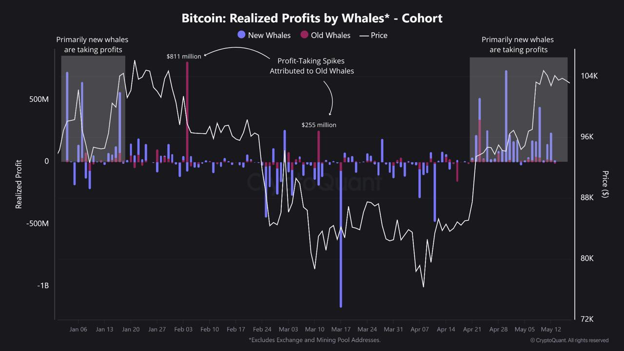 dữ liệu cá voi bitcoin