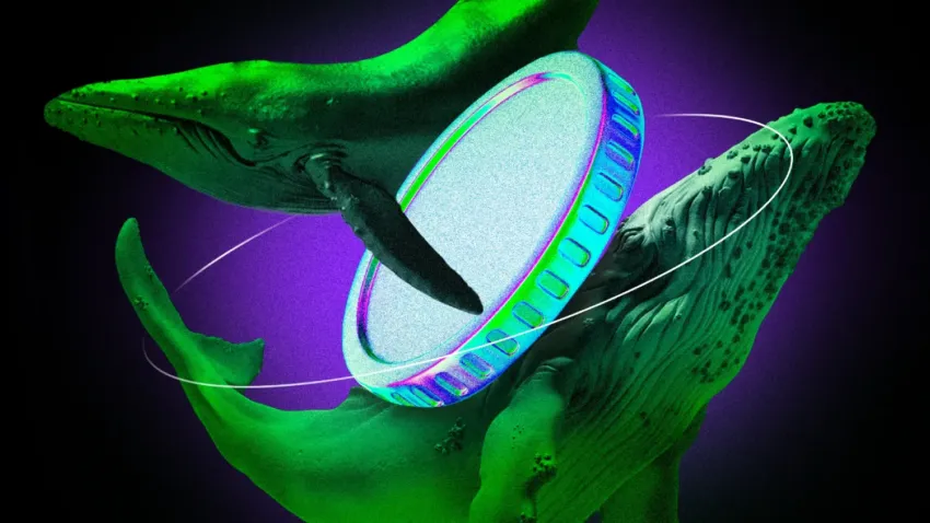 Bán tháo altcoin: Cá voi xả hàng triệu USD vào cuối tuần