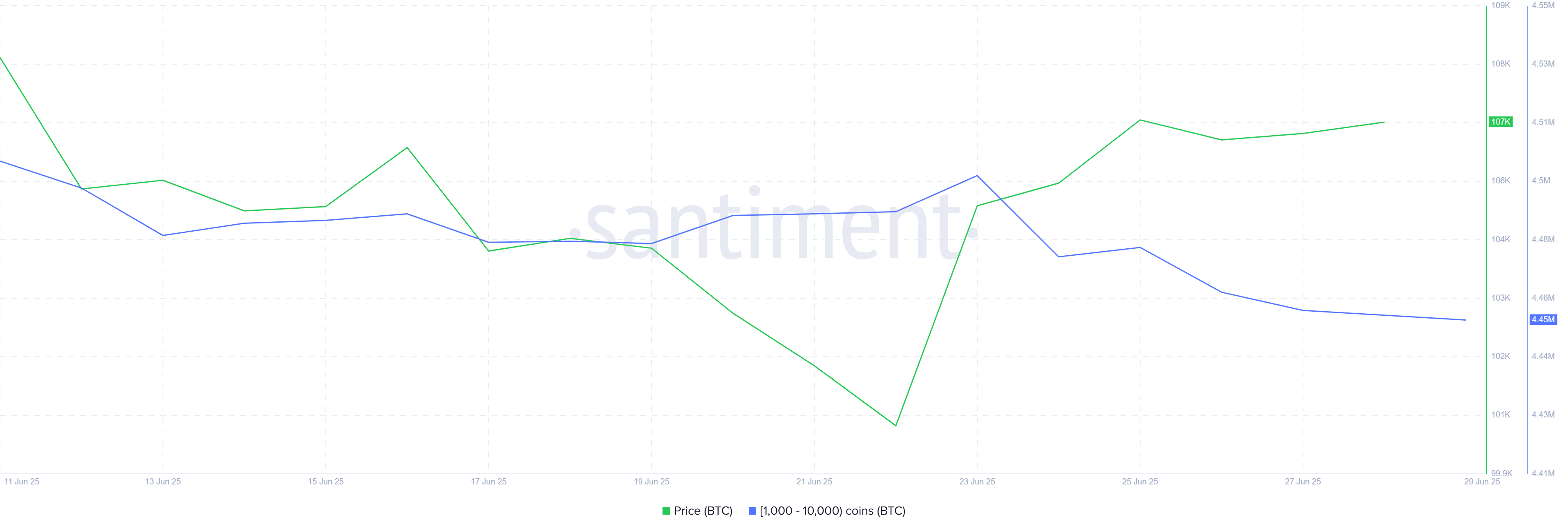 Bitcoin Whale Holdings