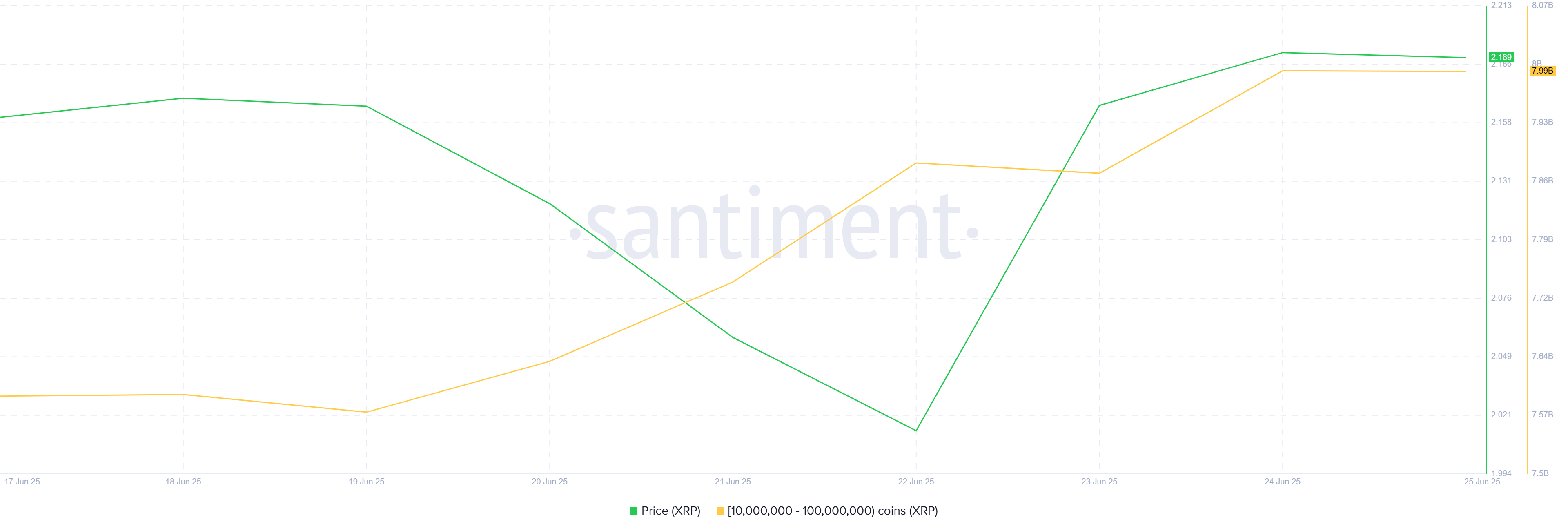 XRP Whale Holding