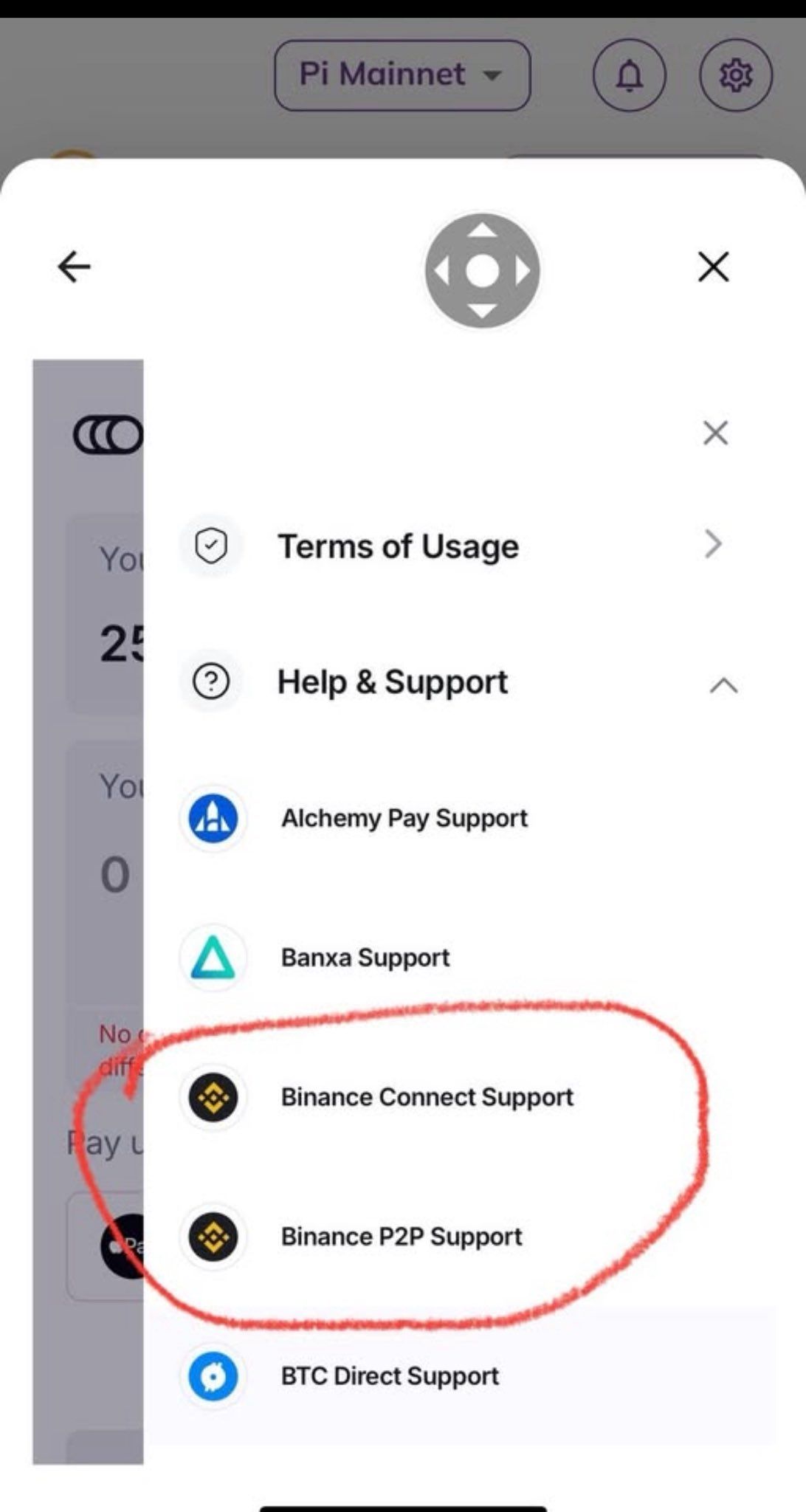 Các tùy chọn hỗ trợ của Binance trong Pi Wallet.