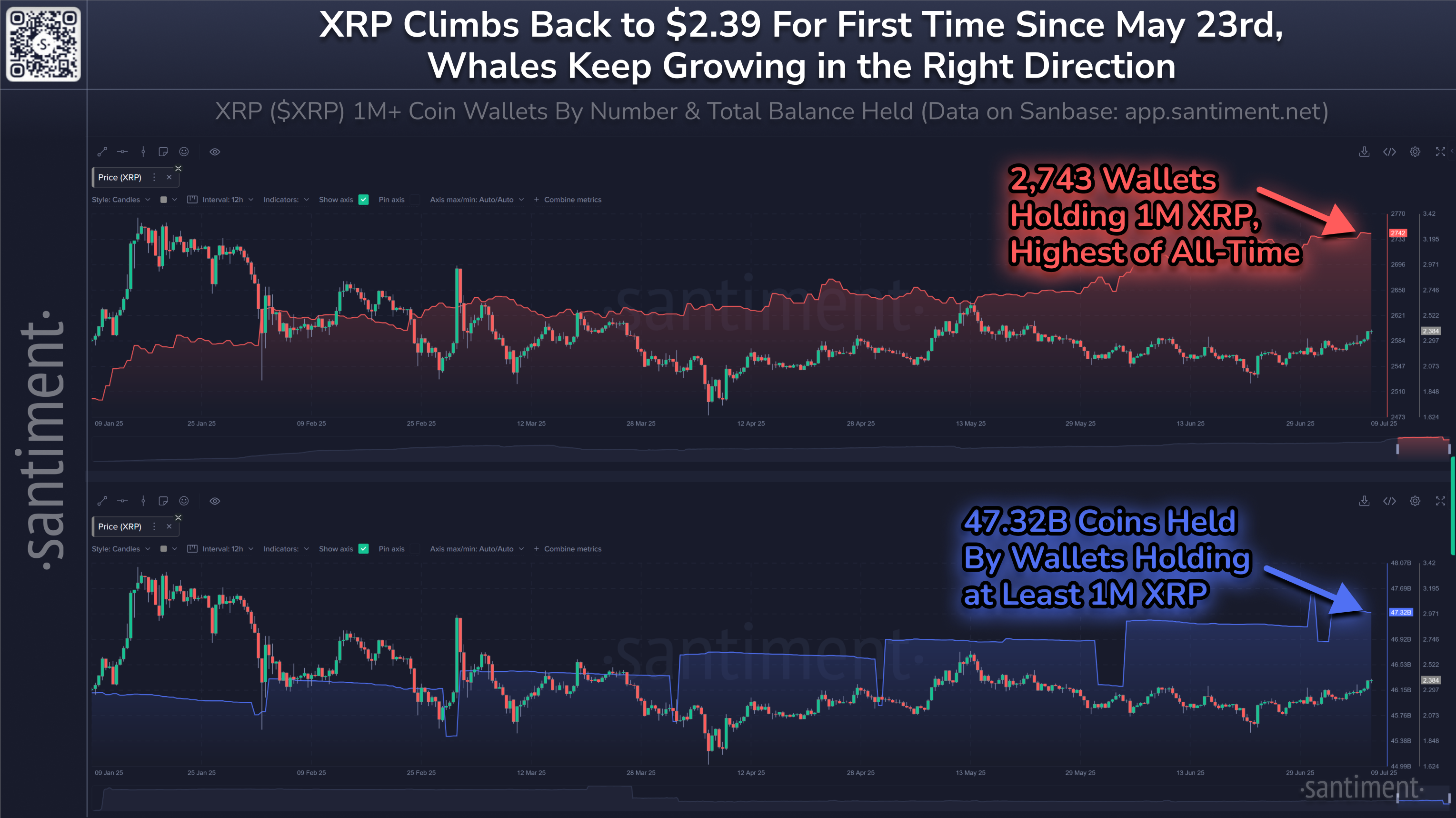 Giá XRP và Số lượng Cá voi XRP Từ đầu năm. Nguồn: Santiment.
