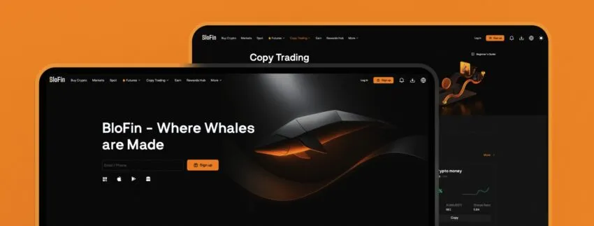 Nhận diện thương hiệu BloFin