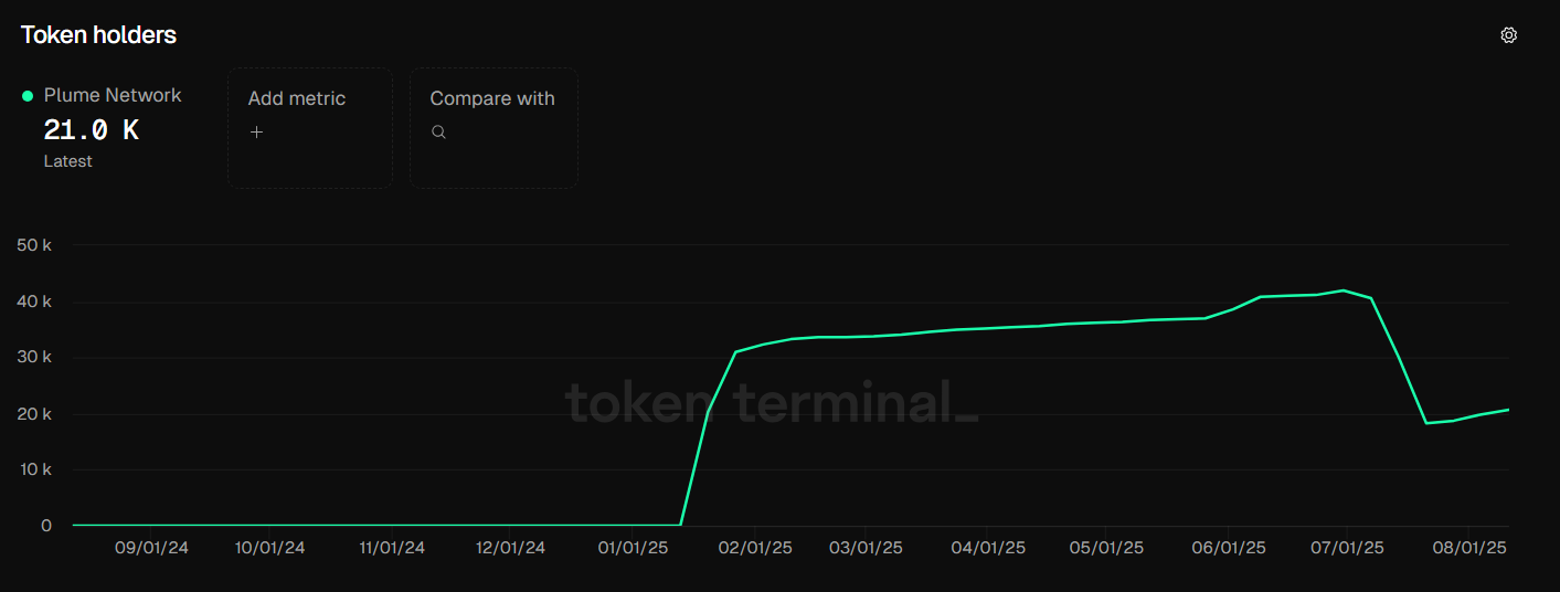 Người nắm giữ token PLUME. Nguồn: Token Terminal.